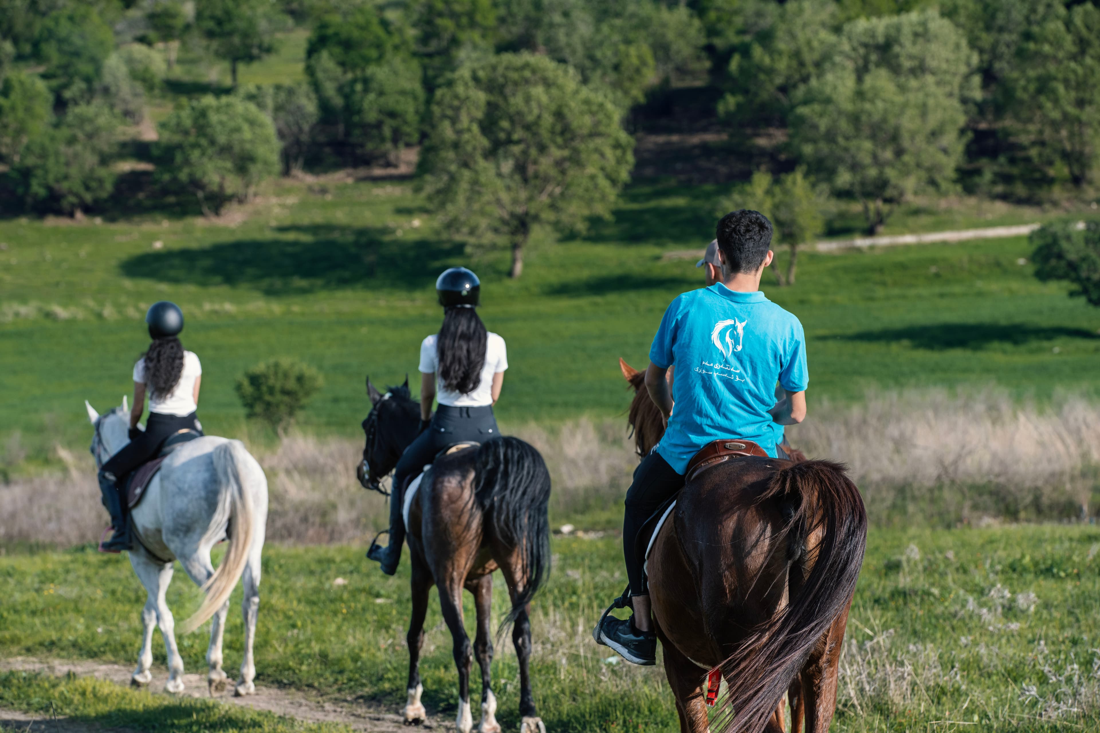 گواستنەوەی ئەسپ