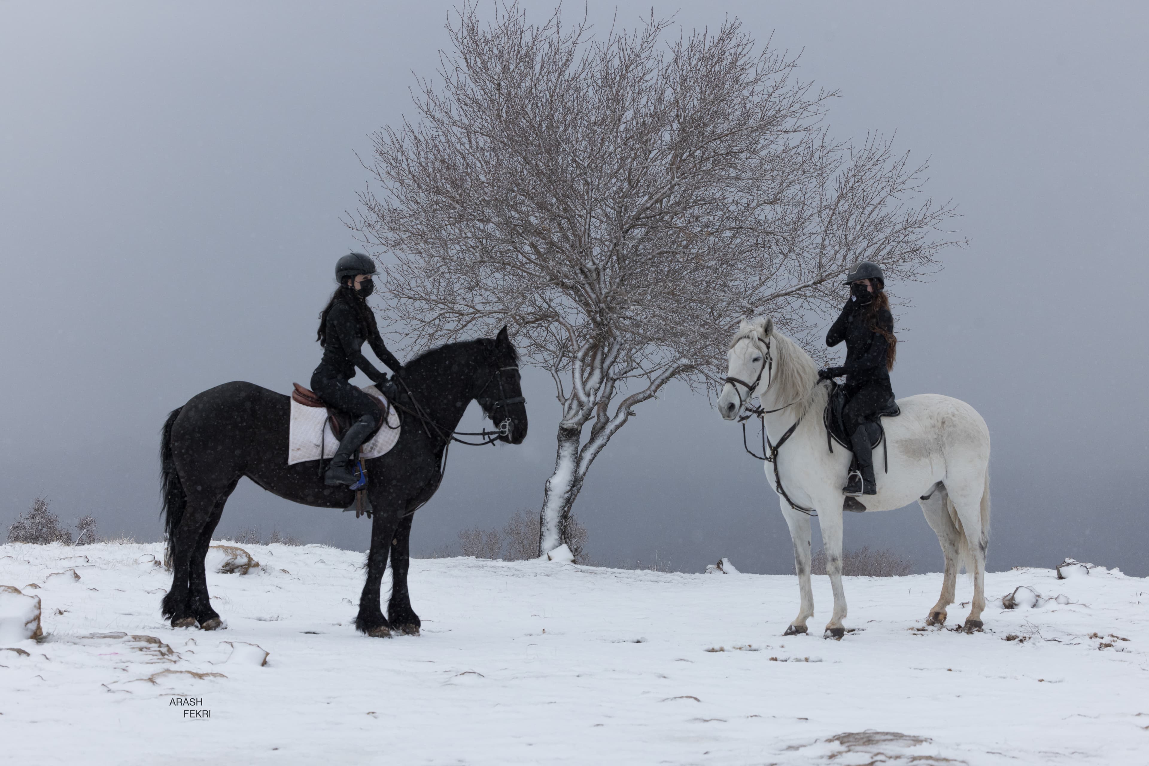 Mam Center Equestrian Club