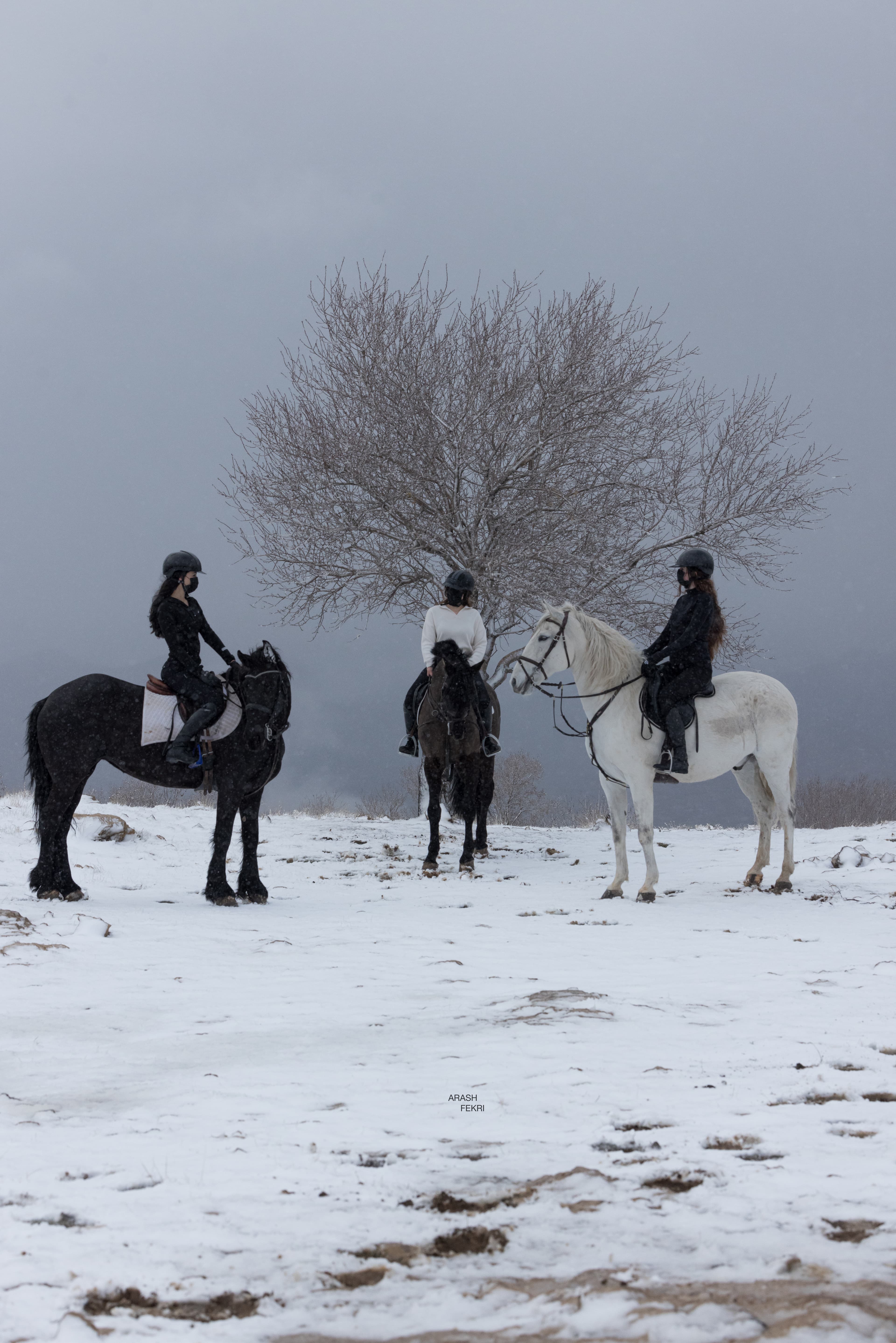 ڕاهێنانی ئاستی بازدان