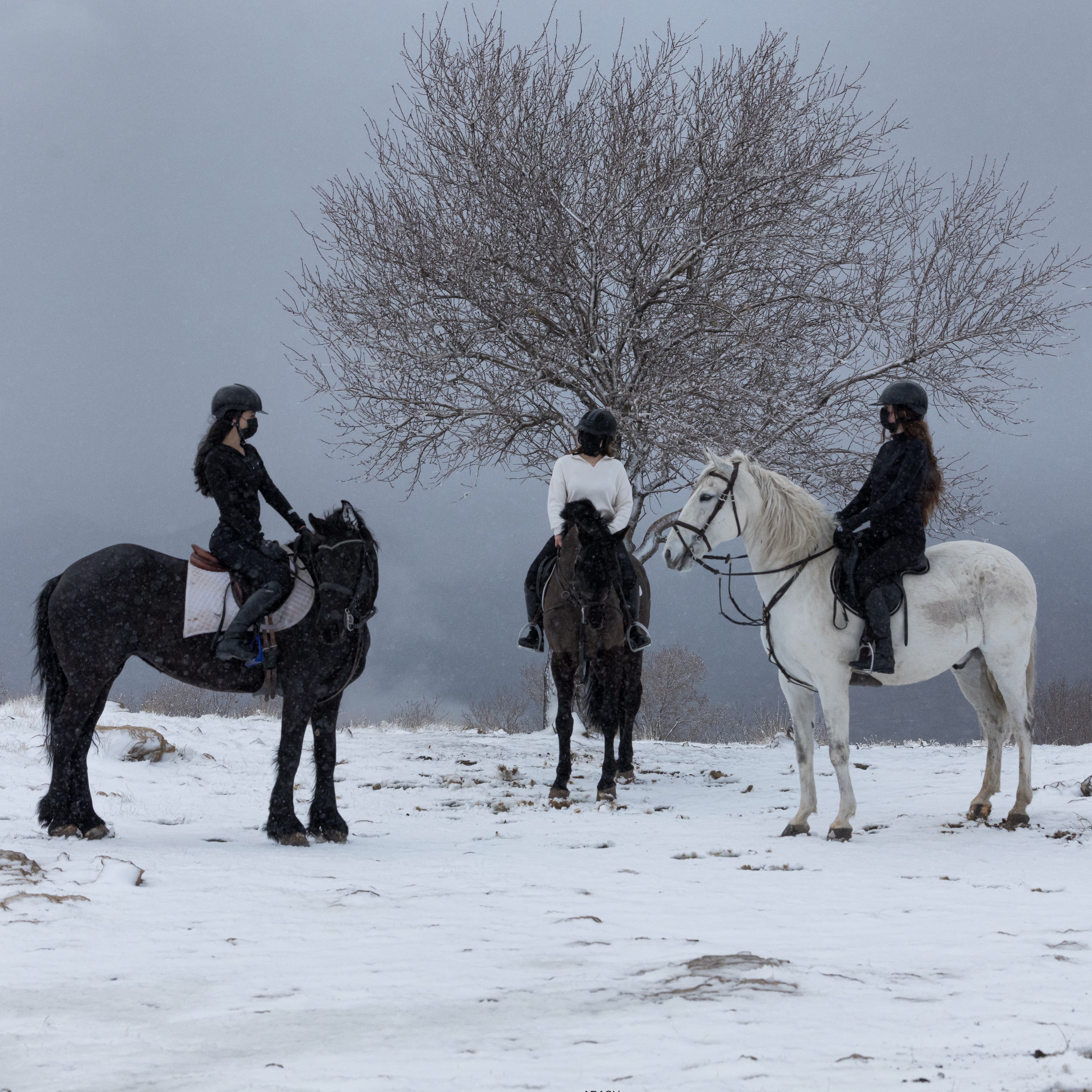 ئەسپسواری بۆ سەرەتاییەکان